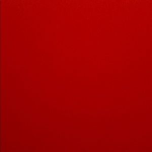 Meet your Posher, Tamara